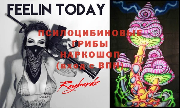 экстази Алексин