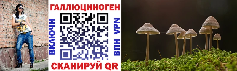 Псилоцибиновые грибы мухоморы Волгоград