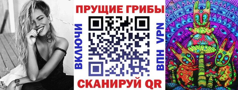магазин  наркотиков  shop состав  Галлюциногенные грибы GOLDEN TEACHER  Волгоград 